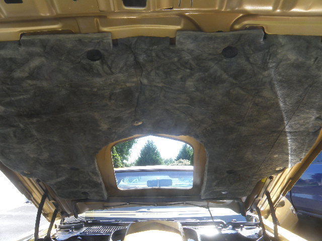 1978 Pontiac Trans Am - photo 9