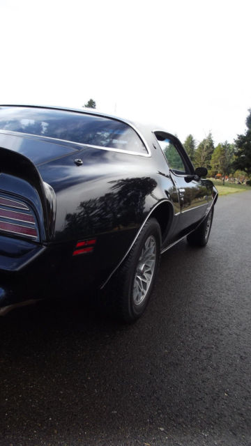 1978 Pontiac Firebird Esprit - photo 12