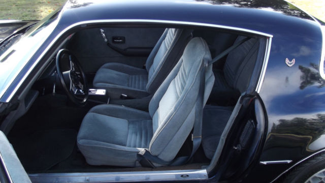 1978 Pontiac Firebird Esprit - photo 9