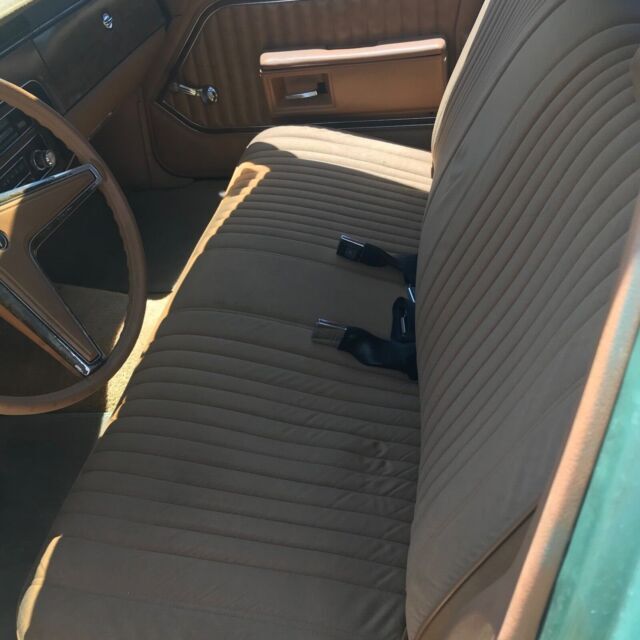 1978 Pontiac Catalina - photo 5