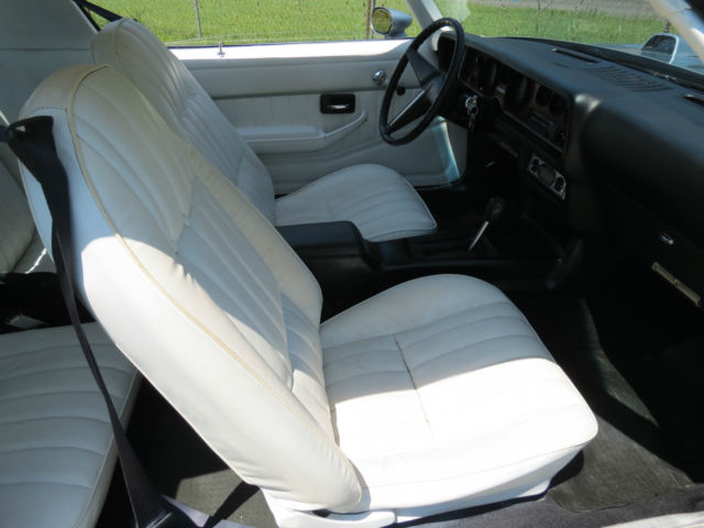 1978 Pontiac Firebird - photo 11