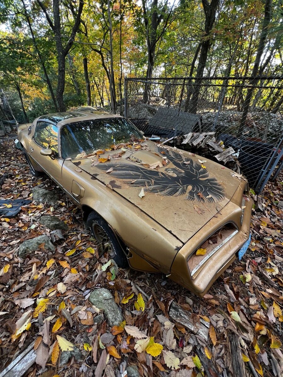 1978 Pontiac Firebird Y88 W72 - photo 11