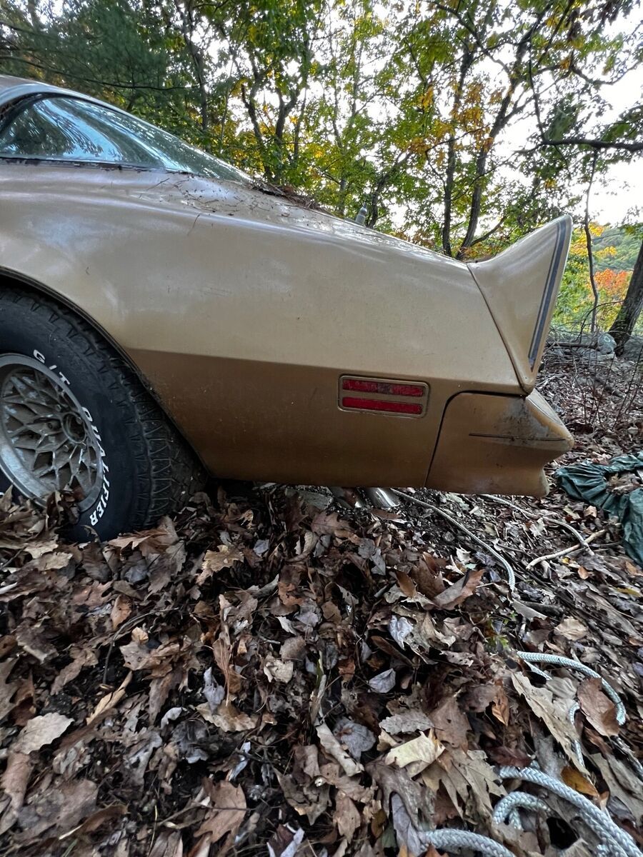 1978 Pontiac Firebird Y88 W72 - photo 2