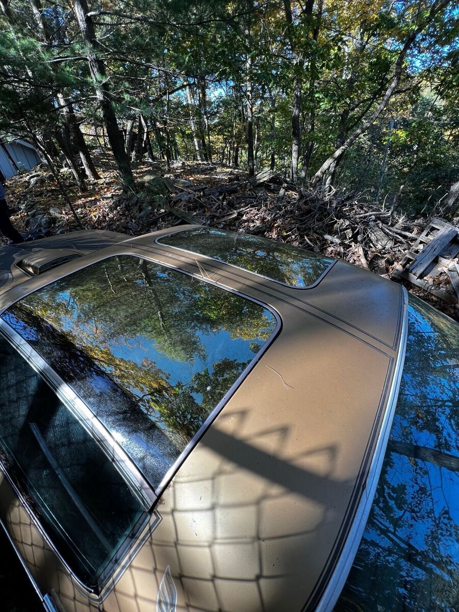 1978 Pontiac Firebird Y88 W72 - photo 4