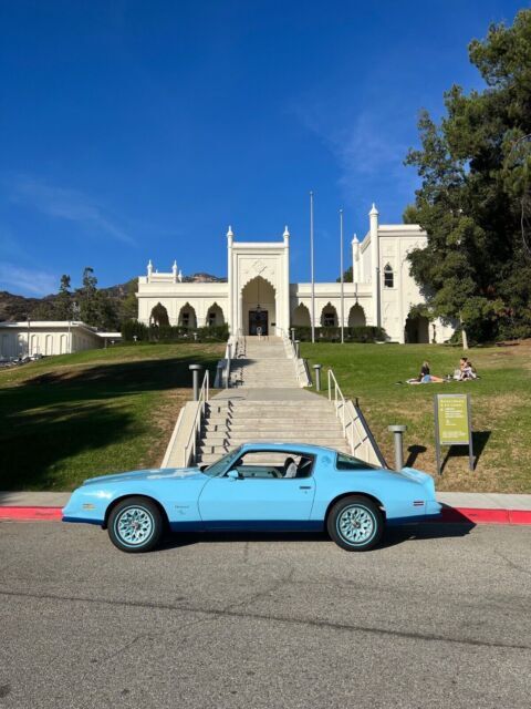 1978 Pontiac Firebird Skybird with Delux package - photo 10