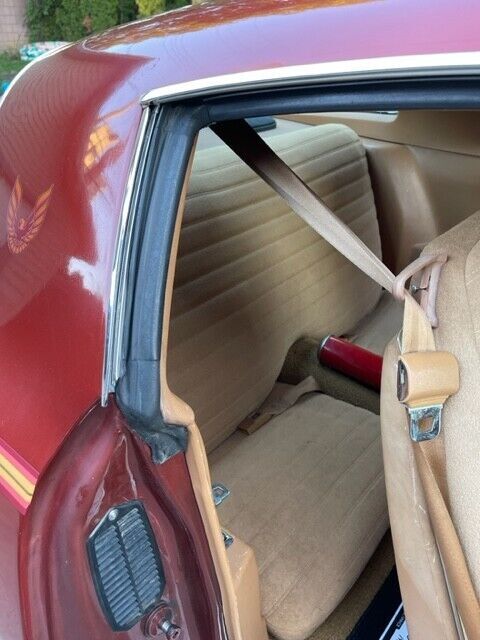 1978 Pontiac Firebird - photo 12