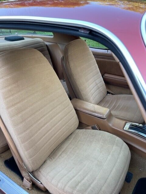 1978 Pontiac Firebird - photo 13