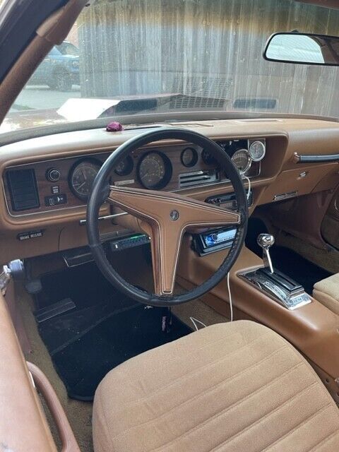1978 Pontiac Firebird - photo 8