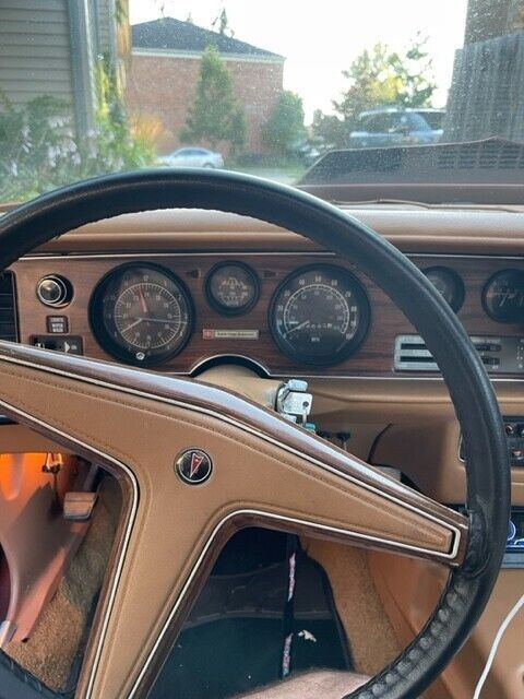 1978 Pontiac Firebird - photo 9