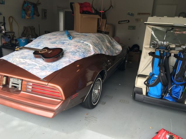 1978 Pontiac Firebird - photo 3