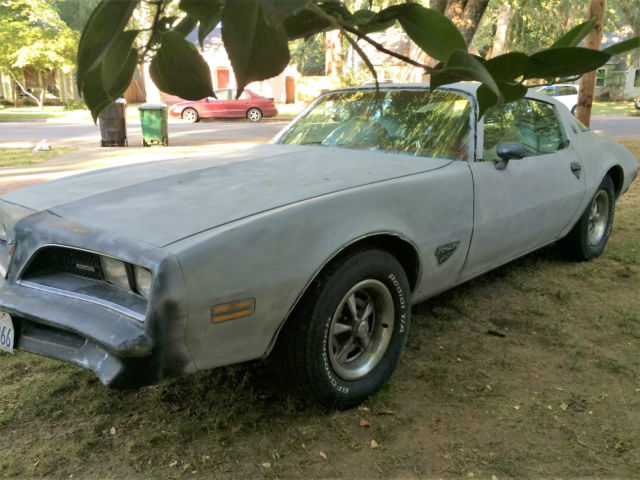 1978 Pontiac Firebird - photo 2