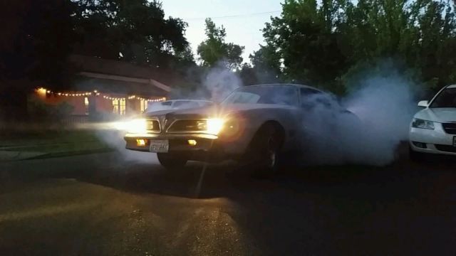 1978 Pontiac Firebird - photo 3