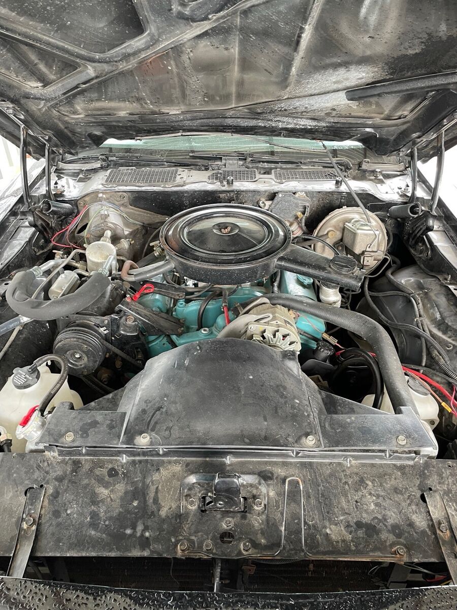 1978 Pontiac Firebird - photo 8
