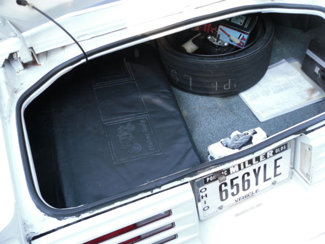 1978 Pontiac Firebird Trans-Am - photo 11