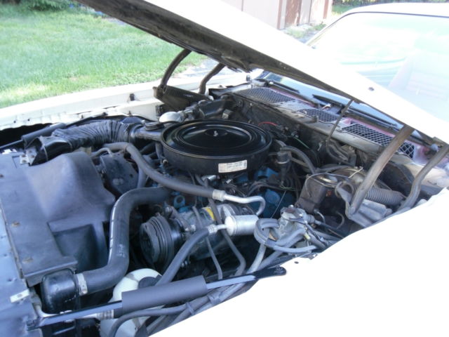 1978 Pontiac Firebird Trans-Am - photo 12