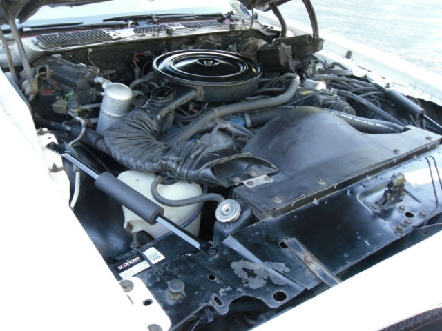 1978 Pontiac Firebird Trans-Am - photo 13