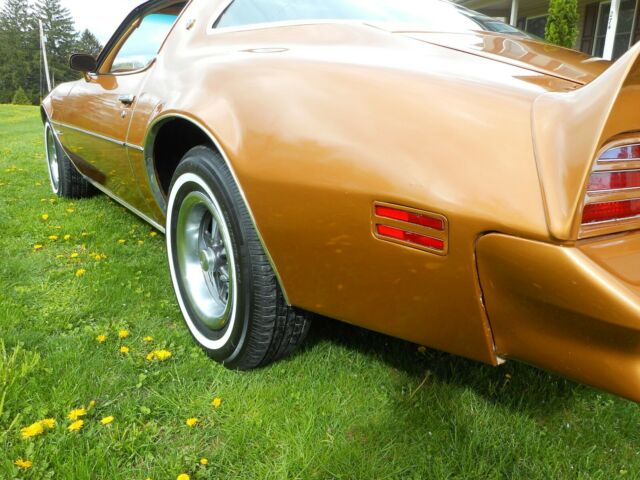 1978 Pontiac Firebird - photo 10