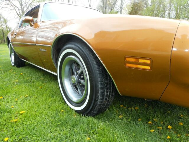 1978 Pontiac Firebird - photo 11