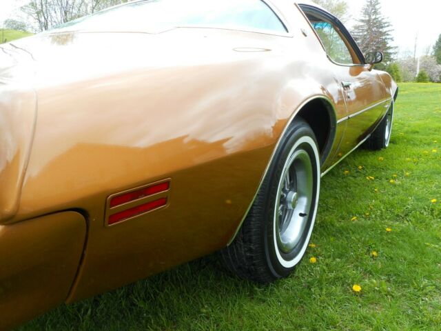 1978 Pontiac Firebird - photo 13