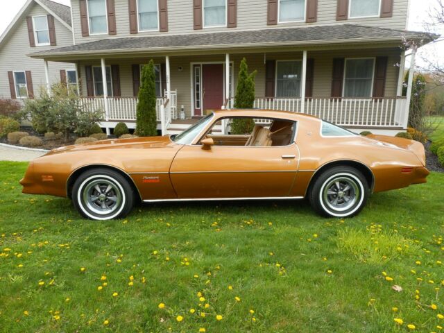 1978 Pontiac Firebird - photo 2