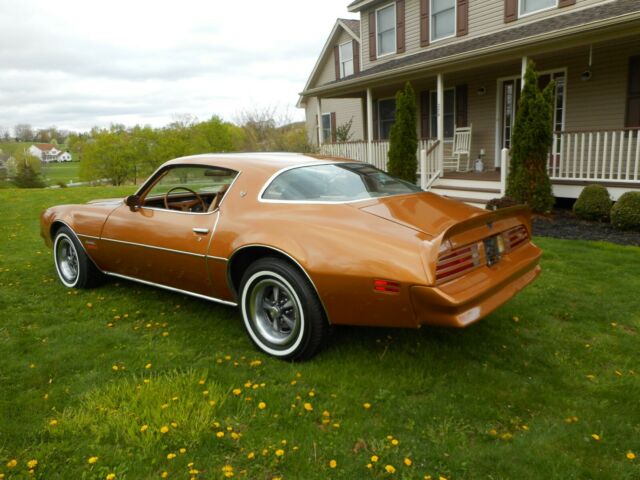 1978 Pontiac Firebird - photo 3