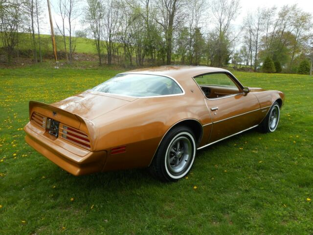1978 Pontiac Firebird - photo 4