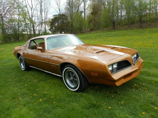 1978 Pontiac Firebird - photo 6