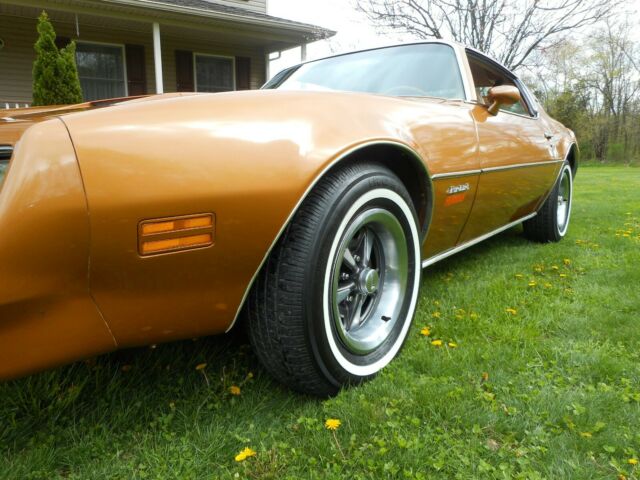 1978 Pontiac Firebird - photo 8