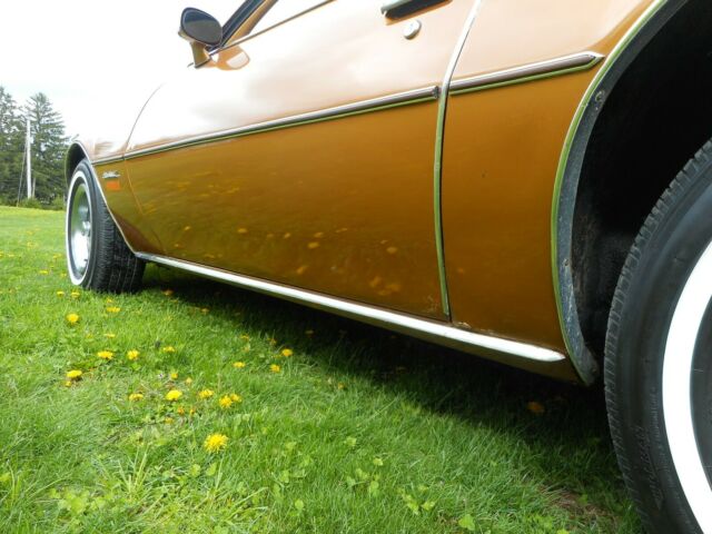 1978 Pontiac Firebird - photo 9