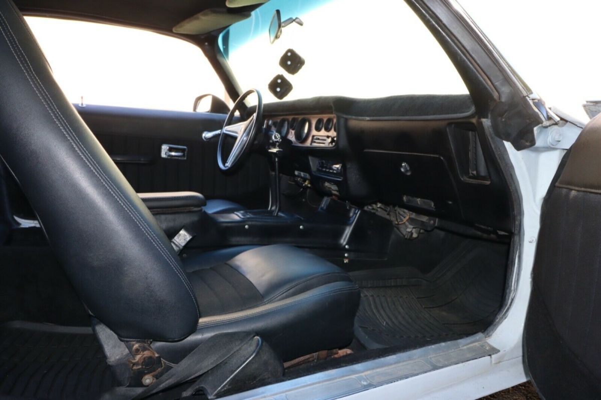 1978 Pontiac Firebird - photo 10