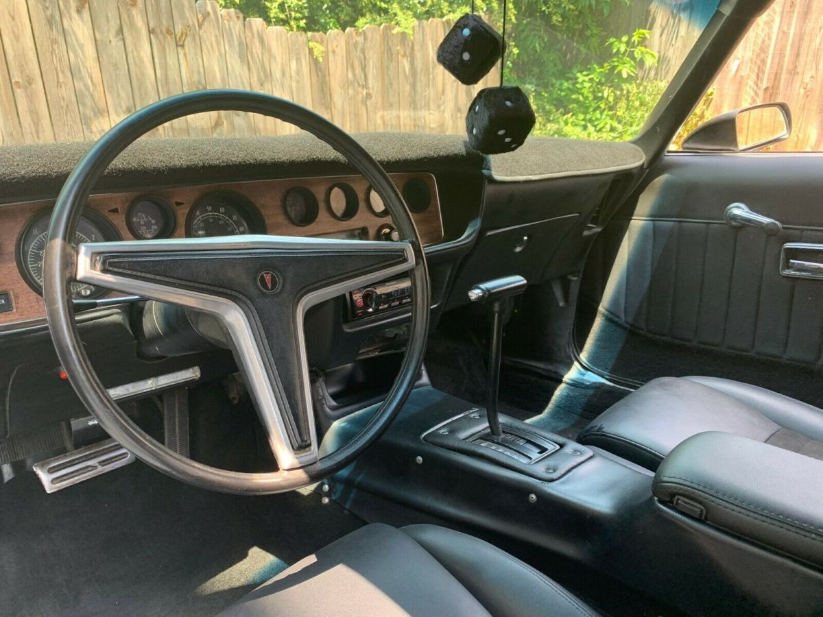 1978 Pontiac Firebird - photo 8