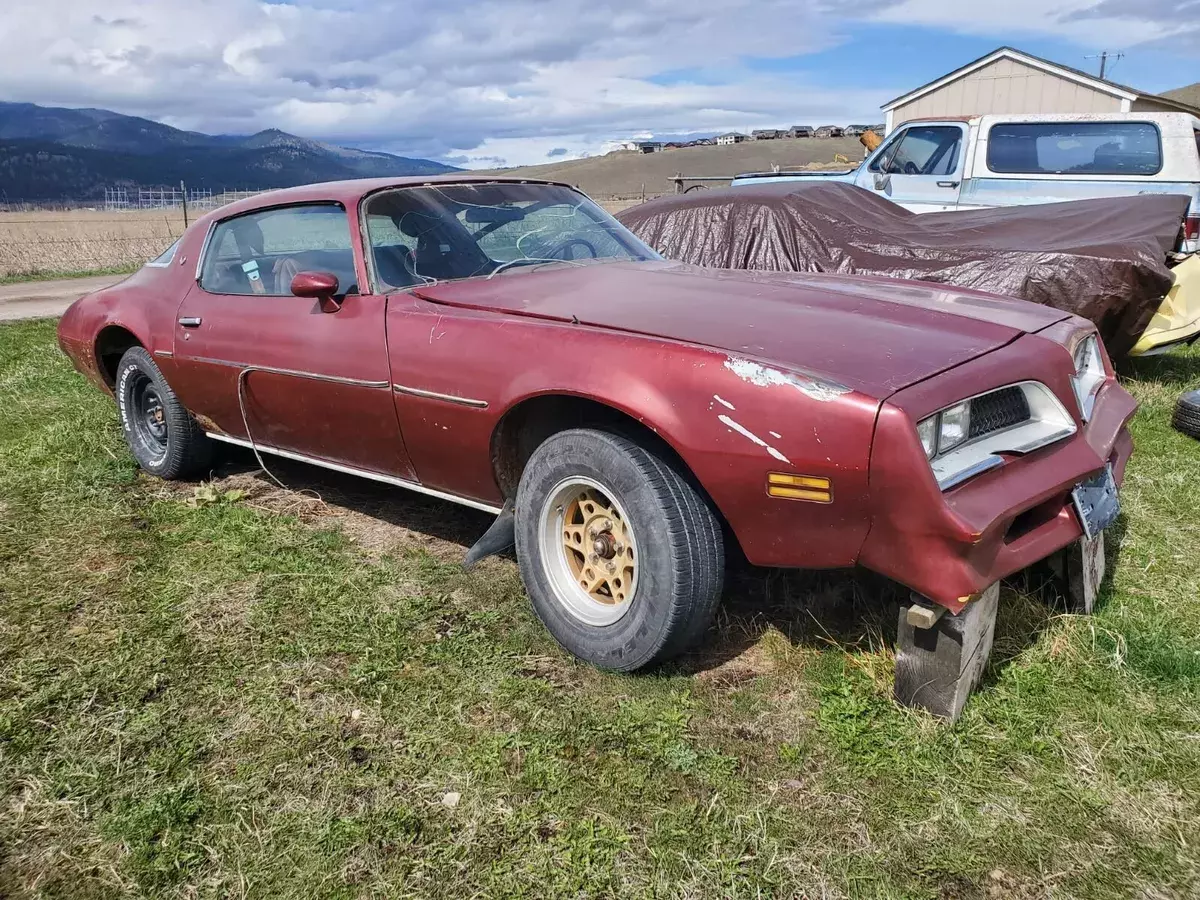 1978 pontiac firebird roller project no engine or transmission clear title 1978 Pontiac Firebird