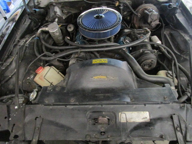 1978 Pontiac Firebird - photo 11