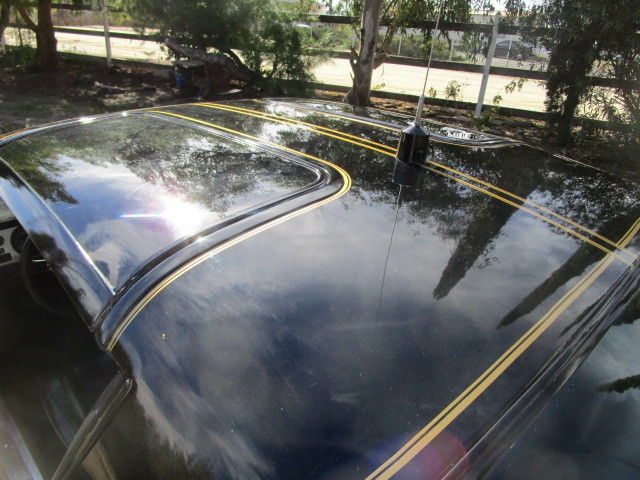 1978 Pontiac Firebird - photo 6
