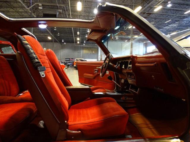 1978 Pontiac Firebird Trans Am Coupe 2-Door - photo 10