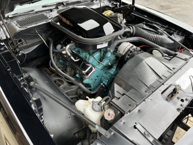 1978 Pontiac Firebird - photo 11