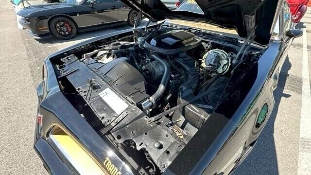 1978 Pontiac Trans Am 400 CI V-8, Automatic, WS6 and W72 Packages - photo 4