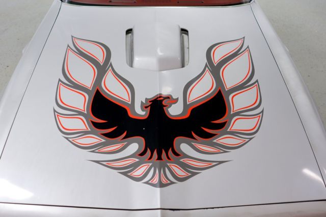 1978 Pontiac Firebird Trans Am - photo 13