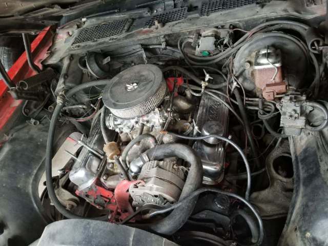 1978 Pontiac Trans Am -- - photo 7