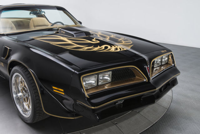 1978 Pontiac Firebird Trans Am - photo 11
