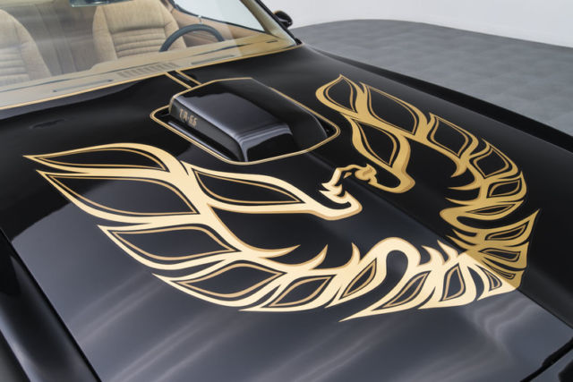 1978 Pontiac Firebird Trans Am - photo 12