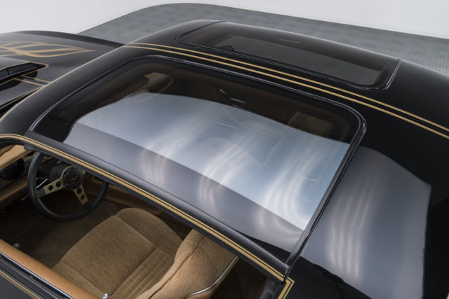 1978 Pontiac Firebird Trans Am - photo 13
