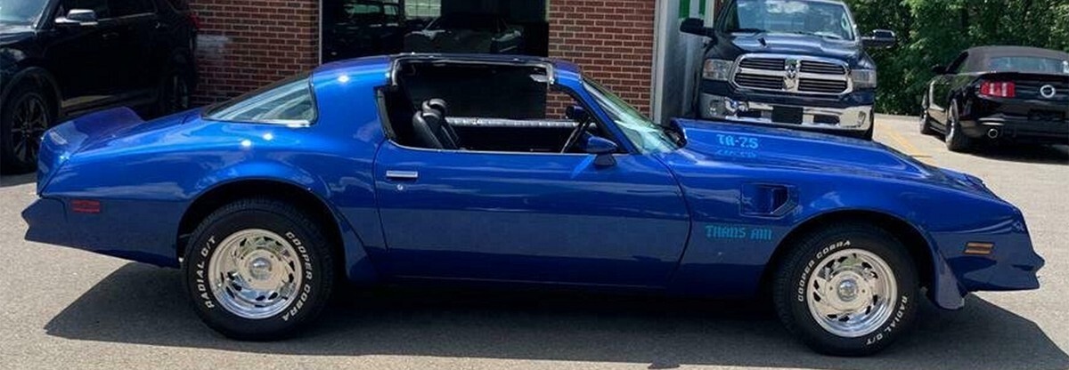 1978 Pontiac Trans Am - photo 6