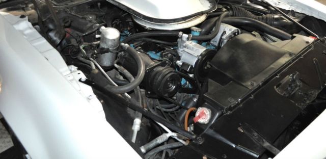1978 Pontiac Trans Am - photo 12