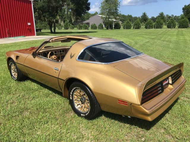 1978 Pontiac Firebird Trans AM - photo 10