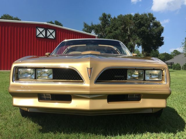 1978 Pontiac Firebird Trans AM - photo 11