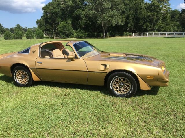 1978 Pontiac Firebird Trans AM - photo 13