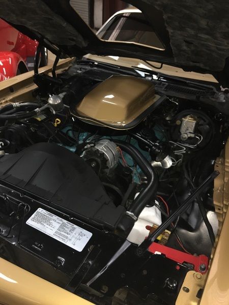 1978 Pontiac Firebird Trans AM - photo 6