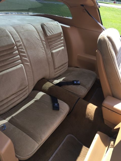 1978 Pontiac Firebird Trans AM - photo 9