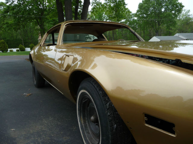 1978 Pontiac Firebird - photo 12